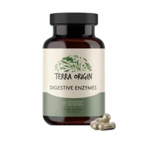 Digestive Enzymes