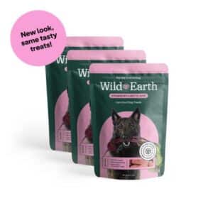 Wild Earth Strawberry & Beet