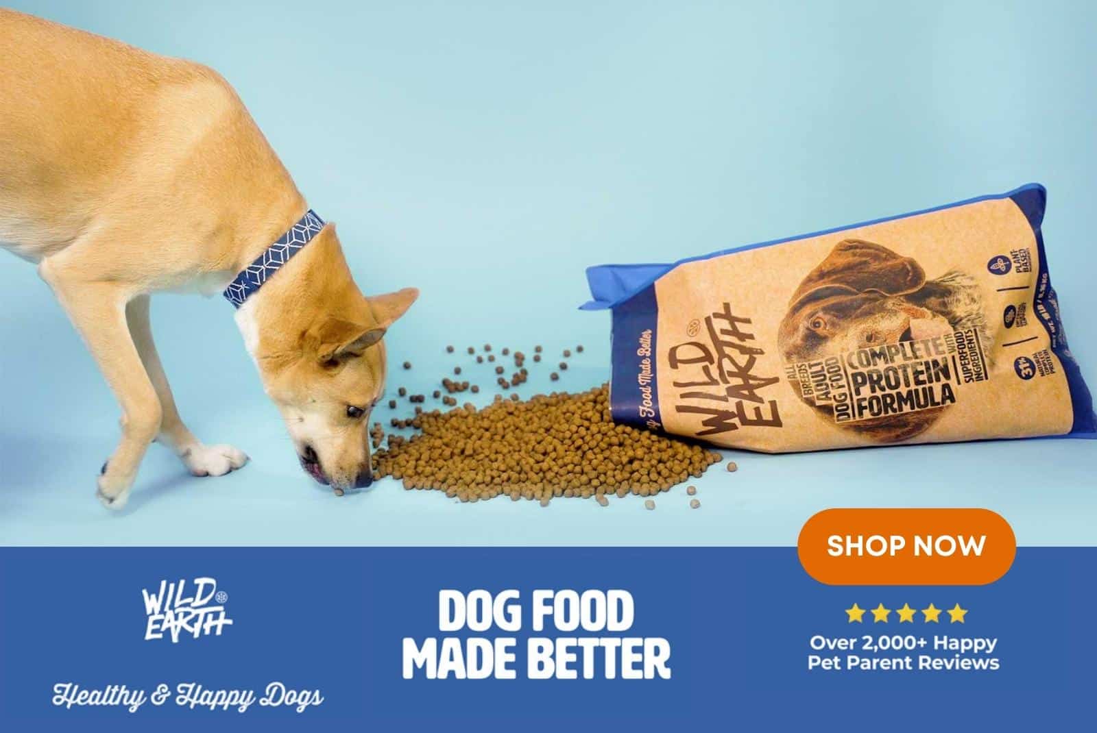 Click here to get your best friend Wild Earth vegan dog food that's sustainably produced using high-quality plant-based ingredients and made by veterinarians.