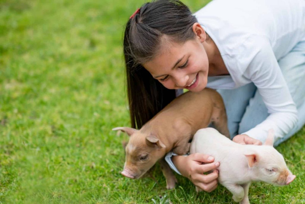 Vegan Values 2 Young girl playing with tiny piglets - adresr - Getty Images Signature