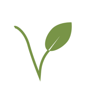 Perfect Period. vegan