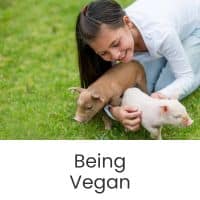 Click here to read articles related to being vegan