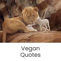 Click here to read articles related to vegan quotes