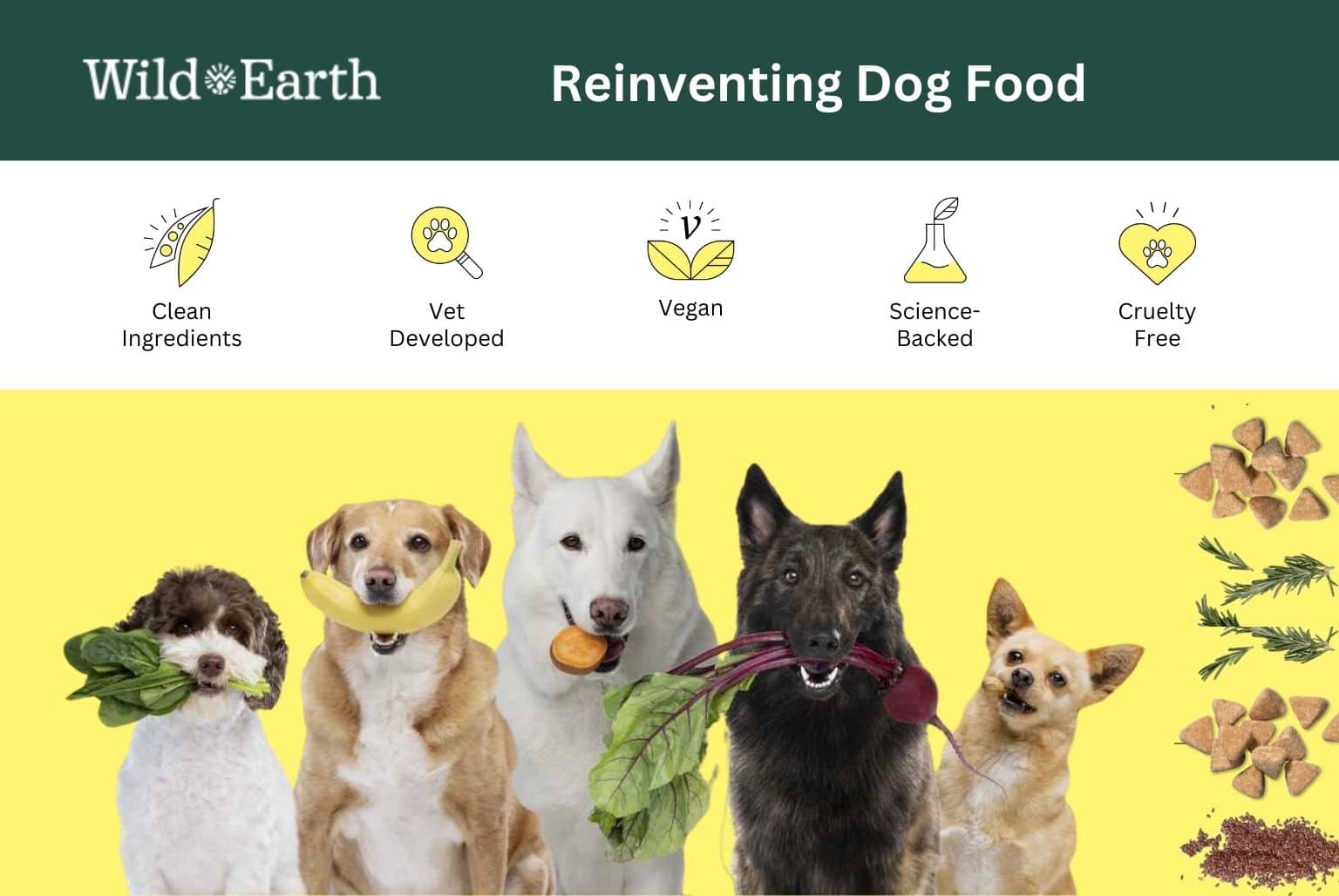 Click here to get Wild Earth plant-based food and supplements for your dog