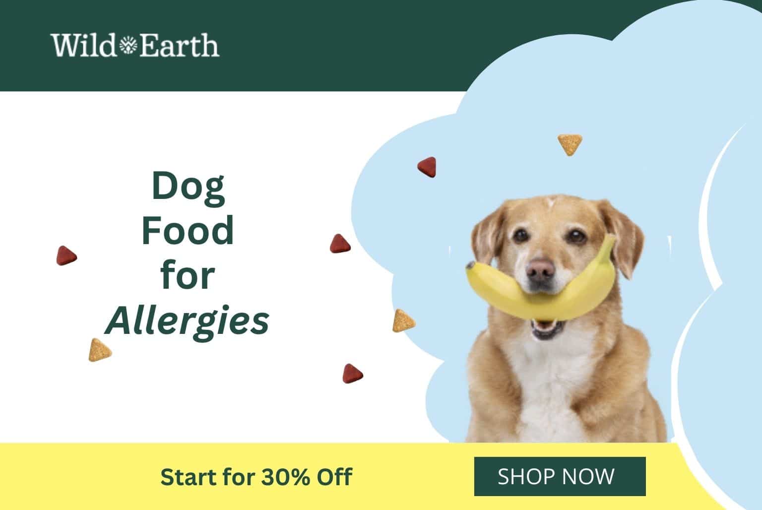 Click here to get Wild Earth plant-based food and supplements for your dog