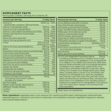 Future Kind+ Vegan Complete Multivitamin (Vitamins + Probiotic + Enzymes) 2 future kind Vegan Complete Multivitamin (Vitamins + Probiotic + Enzymes) - ingredients