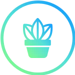 Wholier uses food-based nutrients