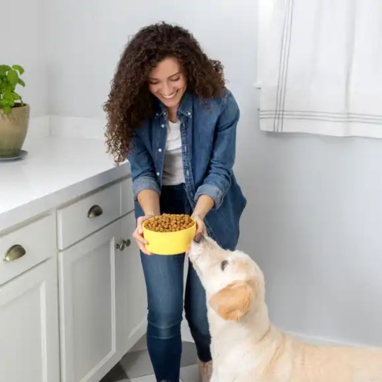 Shop for vegan pet food